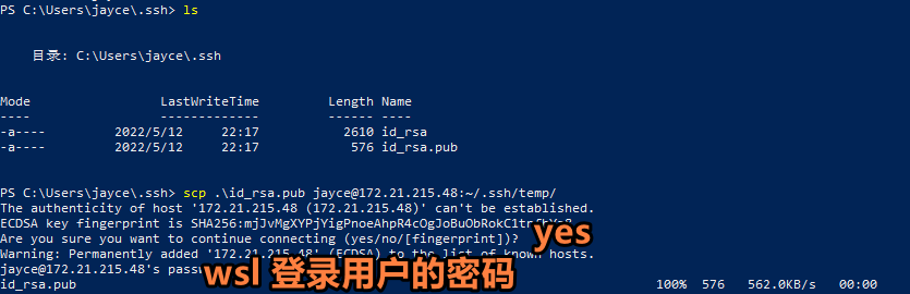 image-20220512222153199
